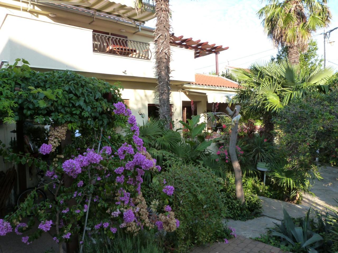 Apartments Eva Sukošan Dış mekan fotoğraf